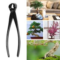 Herramientas De Bonsái Para Jardín Y Paisajismo: Cortaúñas Concavo Cinceladora 210mm Tijeras De Surtidor Y Acriscolas - details 0