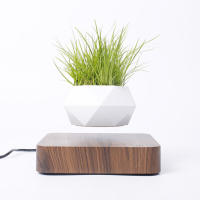 Maceta Flotante Magnética Levitación Para Plantas Sin Tierra Maceta De Rotación Para Decoración Del Hogar Con Diseño De Bonsái - details 4