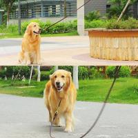 Correa De Perro De Cuero Genuino 2/3M Para Entrenamiento Y Caminar Resistente Y Suave Para Perros Medianos Y Grandes Color Marrón - details 2