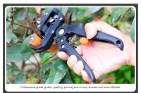 Tijeras De Poda Profesional DiXiong Para Jardín Y Granjas Poda De Frutas Herramienta De Corte Para Vaccination De Árboles Frutales - details 10