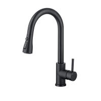 Grifo de Cocina Negro con Rociador Extraíble 360 Grados - Monomando - Acero Inoxidable - details 0