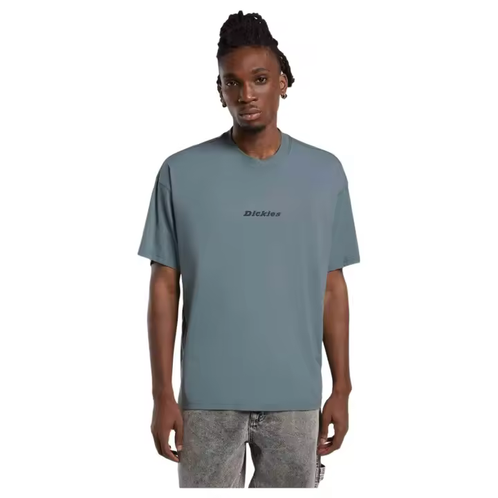 Camisetas marca Dickies modelo Dk0A4Yrng701 para hombre en color gris - 1