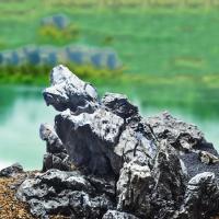 Decoración Natural Para Acuario Piedra De Jardinería Para Tanque De Peces 100g 250g 500g Adorno Profesional Para Tanque De Peces - details 9