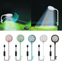 Luz LED Impermeable Para Acuario Pequeño Lámpara De Crecimiento Duradera Tipo Clip-On Para Peces - details 2