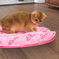 Juguete Interactivo Para Gatos Pelota De Caza Simulada Juego De Escondite Y Persecución Alivio De La Boredad Para Gatos Material De Tela - details 1