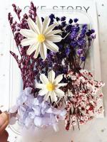Paquete De Materiales Para Manualidades Con Flores Secas DIY Artesanía Artificial Para Decoración De Bodas Y Fiestas Cursos De Arte Flor Eterna - details 7