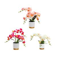 Arreglo De Flores Artificiales En Maceta Orquídea Falsa Phalaenopsis Para Cocina Año Nuevo Dormitorio Regalo De Casa Sala De Estar - details 3