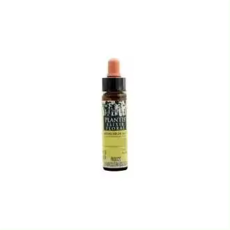 Cherry Plum Plantis Flores De Bach Nº 06 10Ml. - 1