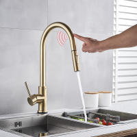 Grifo De Cocina Inteligente Con Sensor Y Pantufla Moverse 360° Monohandle Toque Brushed Doble Modo Agua Grifo Mezclador Montado En La Mesa Cromado Contemporáneo - details 10