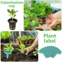 Kit De Cubos De Túnel De Hidroponia 72 Piezas 1.5 Pulgadas Absorción De Nutrientes Con Red De Malla Para Plantas En Casa - details 3