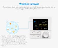 Termostato Inteligente Tuya WiFi Para Calefacción Eléctrica Y Agua/Boiler Gas Controlador De Temperatura Compatible Con Google Home Y Alexa 220V - details 13