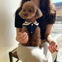 Camiseta De Patoleta Para Perros Pequeños Y Medianos Con Rayas Diseño Lindo Ropa De Mascota Suéter De Algodón Para Todas Las Estaciones - details 1