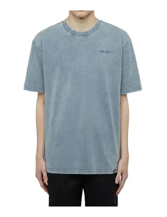 Camiseta Dickies MN Plentywood SS Gris - 1