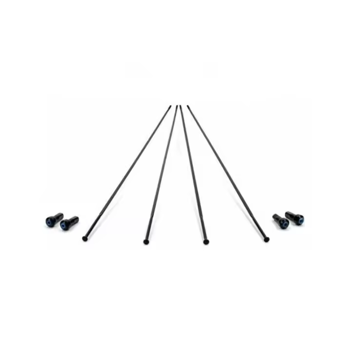 Campagonolo 4 Radios Bora One 50 Disco Campagonolo 4 Radios Bora One 50 Disco CAMPAGNOLO   bicicleta - 1