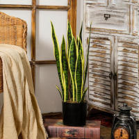 Plantas Artificiales Sansevieria 32/37cm Para Decoración De Jardín Y Hogar Plástico Bonsái DIY Falso Verde Para Interior Y Exterior - details 0