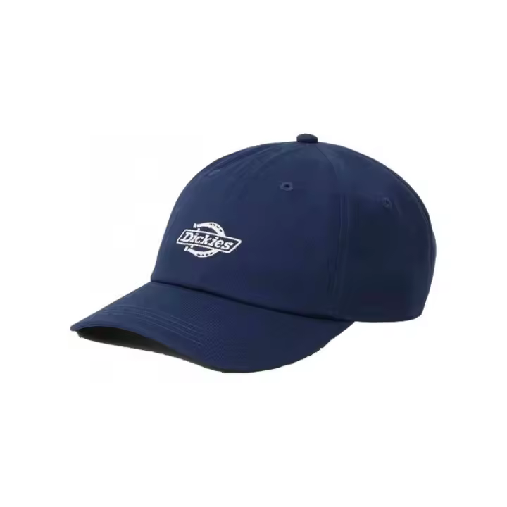 Complementos Lifestyle marca Dickies modelo Dk0A4Z6Nct91 para unisex en color azul - 1