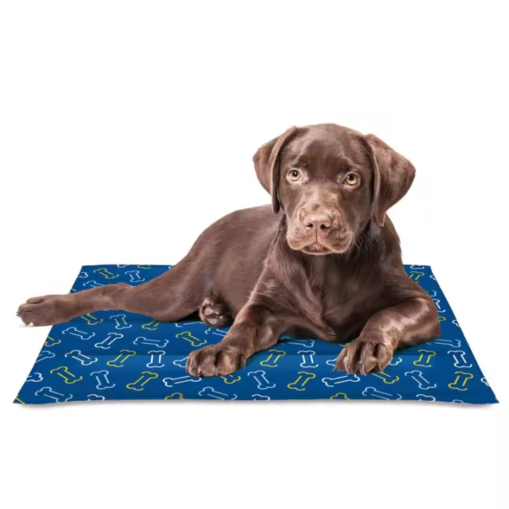 Nayeco Coo Mat Bones - Colchoneta Refrescante para Mascotas - 1