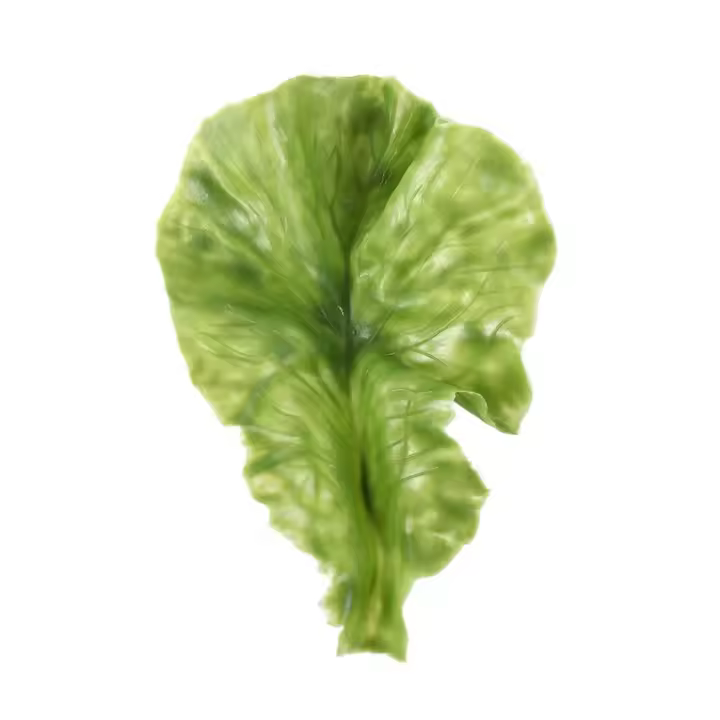 Simulación Hojas De Lechuga Verde Falsa Vegetal Modelo Realista Adorno De Lechuga Decoración Para Restaurante Y Ventanas De Tienda - 1