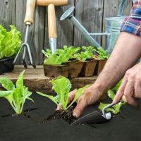 Malla De Jardín Landscape 1 Roll Suelo Grueso Barriera De Malas Hierbas Para Jardinería Cubierta De Tierra Polipropileno Para Plantas Flores Vegetales - details 3