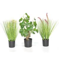 Maceta Negra Para Suculentas De Plástico Juego De Plantas Decoración Para El Hogar Y La Oficina Contenedor De Plantas - details 5