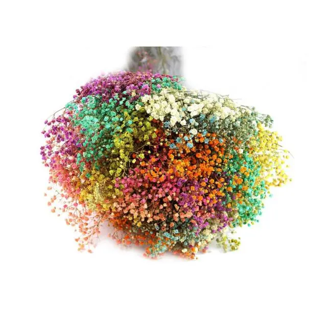 Artipistilos - Ramo de Paniculata Preservada - Mix de Colores - 1