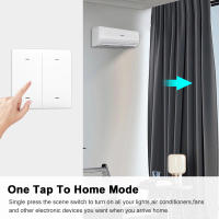 Interruptor De Escenas Inalámbrico Zigbee 1/2/3/4Gang Compatible Con Alexa Google Home Control Remoto Por App Para Automatización Del Hogar - details 10