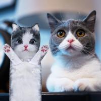 Divertidos Gatos Toalla de Mano-Decoración Gato Toalla Colgantes para Baño Trapos de Cocina-Animal Absorbente suave Toallas-regalos Graciosos Para Originales Mujer Amantes de Los Gatos-Pies Cortos - details 1