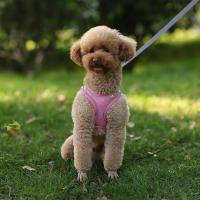 Juego De Correa Y Arnés Ajustable Para Perros Pequeños Vestido De Gato Pupilo Chihuahua Pug Bulldog Francesés Caminar Al Aire Libre - details 4