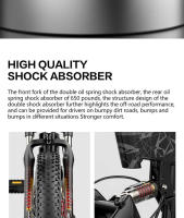 Bezior xf200 Bicicleta Eléctrica 20 "15ah 40 km/h 130km Potencia Asistencia kilometría brake hidráulico Bicicleta de Grasa Bicicleta Eléctrica - details 4