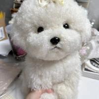 Muñeco De Peluche De Perro Bichon Lindo Simulación De Cabello Curvo Kawaii Muñeco De Peluche Real Para Niñas Y Niños Regalo De Cumpleaños Y Navidad - details 4