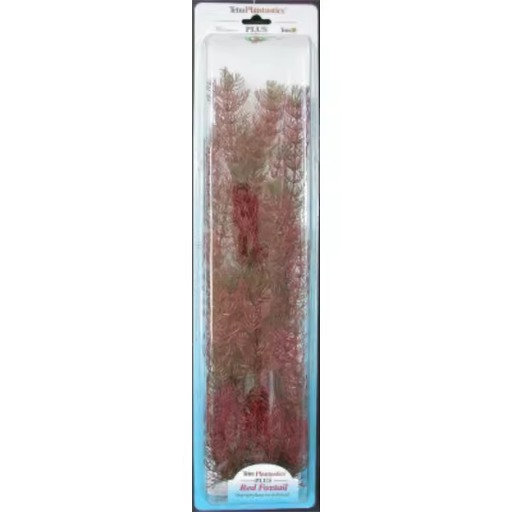 San Dimas - PLANTA FOXTAIL (28-33CM) - 1