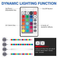 Bombilla LED RGB Subacuática Para Escenario AC 110V 220V DC 12V 15W 10W Luces De Paisaje Exterior Para Jardín Fuente Piscina Decoración - details 15