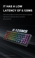 Teclado De Juego Onikuma G67 Switch Magnético 8KHz 0.02mm Sin Ruido Luces De Encendido 67 Teclas Compacto Y Contraídas - details 6