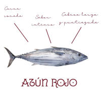 Lagareta Gourmet Ventresca de Atún Rojo en AOVE 120ml - details 0