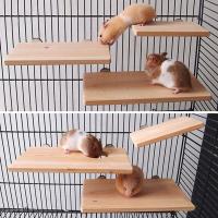Plataforma De Madera Para Mascotas Juguete De Pájaro Para Periquitos Accesorios Para Hamsters Gerbils Y Rattus Saltar Plataforma Hogar Suministros - details 3