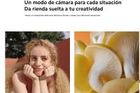 Xiaomi Redmi Note 13 Pantalla Amoled de 6,67", 120Hz, Dimensión 6080, 100MP, 5000mAh, Cargador 33W - details 6
