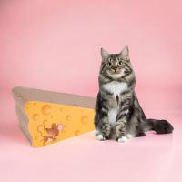 UNUSUAL- Queso rascador de cartón de sisal, arañador para gatos, 30x17x15cm, almohadilla para rascar, Rascador para Gatos de cartón con Forma de Queso, arañador para Mascotas, afilador de uñas reciclable - details 2
