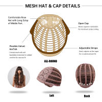 Pelucas Sintéticas Largas De Ombre Marrón Rubia Con Franja Para Mujeres Afro Peluca Cacheada Resistente Al Calor Para Uso Diario Cosplay - details 2