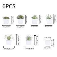Juego De Macetas De Plástico Evergreen Para Decoración De Escritorio Y Oficina Estilo Suculentas Sin Mantenimiento Realista - details 3