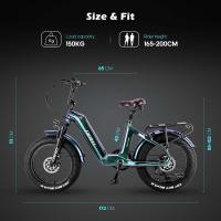 Bicicleta eléctrica Fafrees F20 Master, neumáticos de aire de 20*4.0 pulgadas, motor trasero de 500 W, velocidad máxima de 25 km/h, batería Samsung de 48 V 22,5 Ah, rango de 140-160 km, frenos de disco hidráulicos, cuadro de fibra de carbono - Negro - details 9