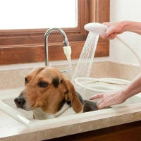 Extensor De Chorro Para Grifo Con Filtro De Drenaje Y Manguera Para Baño Y Mascotas Suministros De Limpieza Portátil - details 3