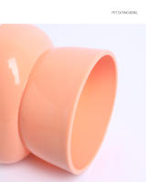 Tazón De Alimentos Para Mascotas Con Base Inclinada Y Cuello Protector Anti-Asfixia Para Perros Y Gatos Birdbits Anti-Derrame Suministros De Alimentación Para Animales - details 3