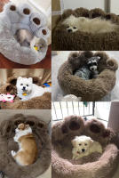 Sofá Para Perros Y Gatos Forma De Pata De Oso Cómodo Y Suave Cama De Peluche Para Mascotas Pequeñas Medianas Y Grandes - details 0