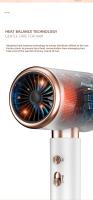 Bizcasa-Secador de Pelo Iónico, 2400W, con Botón Frío/Calor - details 11