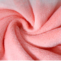Toalla De Cara De Microfibra Superfina Absorbente De Alta Densidad Tela De Coral Secado Rápido Suave Con Gancho Para Limpieza - details 1