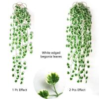 Guirnalda De Iva Artificial Hojas Verdes Falsas Plantas Colgantes Decoración Para Hogar Fiesta Boda Origin Zhejiang China - details 14