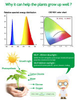 Luz De Crecimiento Para Plantas USB 5V LED Espectro Completo Para Invernadero Sistema De Cultivo Acuático Phytolamp Verde - details 8