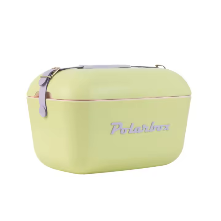 Nevera CoolerBag 20L Verde Lima - Pop con Asa Malva Polarbox - 1