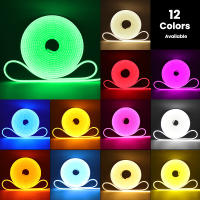 Tira De LED Flexible 12V Neón 2835 120LEDs/M Luz De Cuerda Impermeable Para Exteriores Azul Caliente Rosa Blanco Rojo Amarillo Verde 1M 5M - details 1