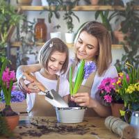 Herramientas de jardín,3Pcs Herramienta pequeña de jardín, Herramientas para Jardín Acero Inoxidable,con Pala con Mango de Madera Herramientas de jardín para niños y Adultos. - details 0